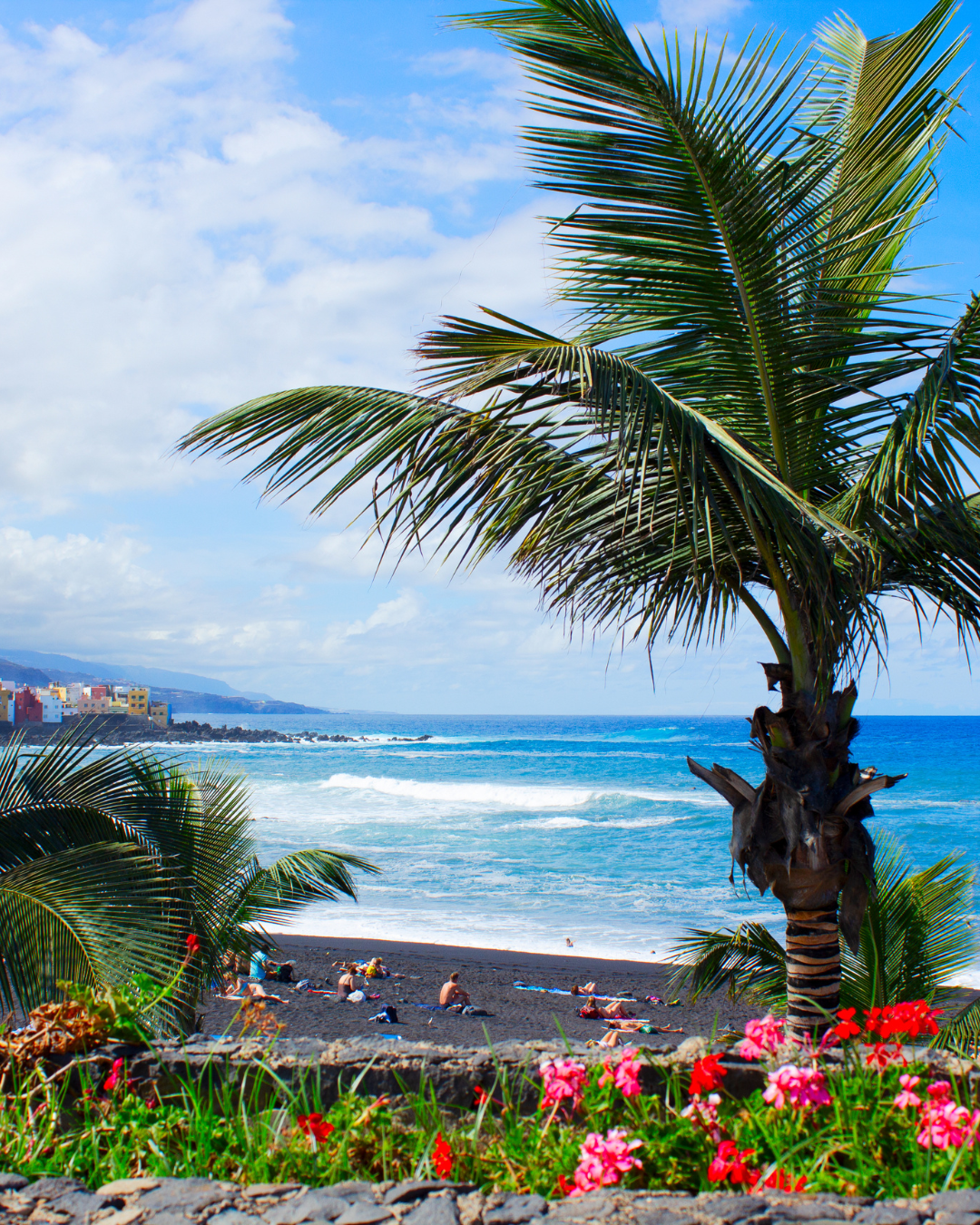 Palmová zahrada Tenerife – tropická atmosféra