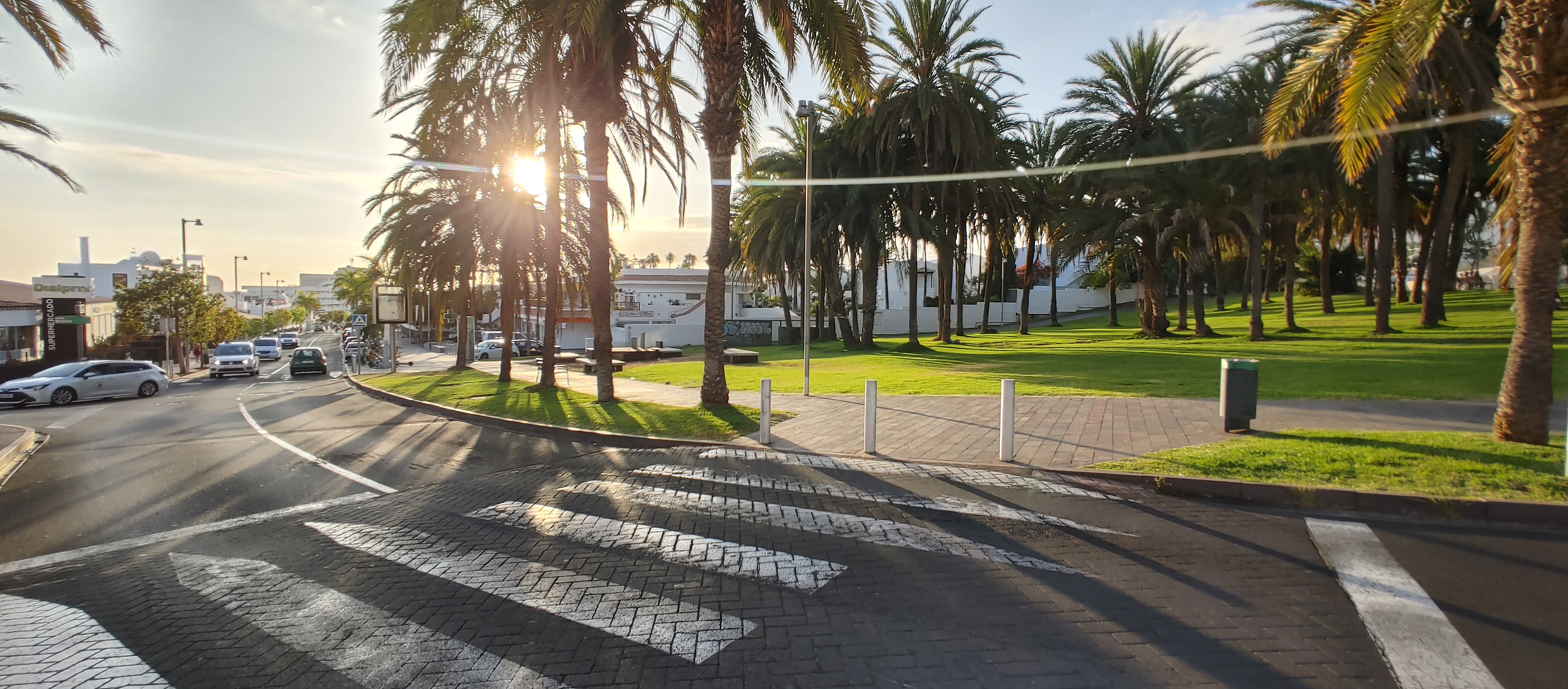 Tenerife palmy