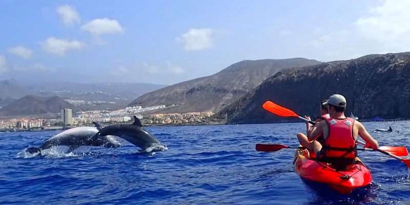 Safari na kajaku na Tenerife: Delfíni, šnorchlování a nezapomenutelný zážitek