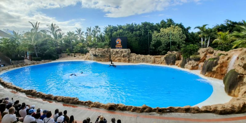 Loro Parque – recenze a zážitky z nejzajímavějšího místa na Tenerife